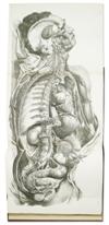 BOURGERY, MARC-JEAN; BERNARD, CLAUDE; et al. Traité Complète de l''Anatomie de l''Homme. 8 vols. in 9. 1866-71